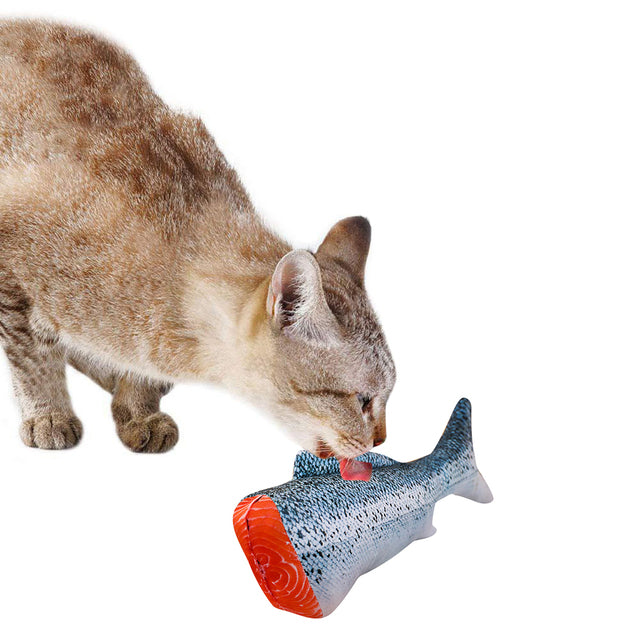 Vancar™ Interactive Fish-Shaped Pet Toy