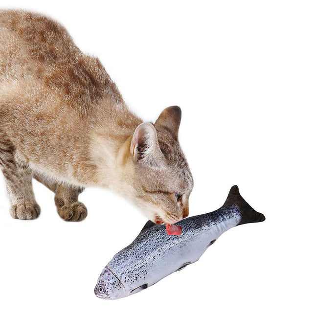 Vancar™ Interactive Fish-Shaped Pet Toy