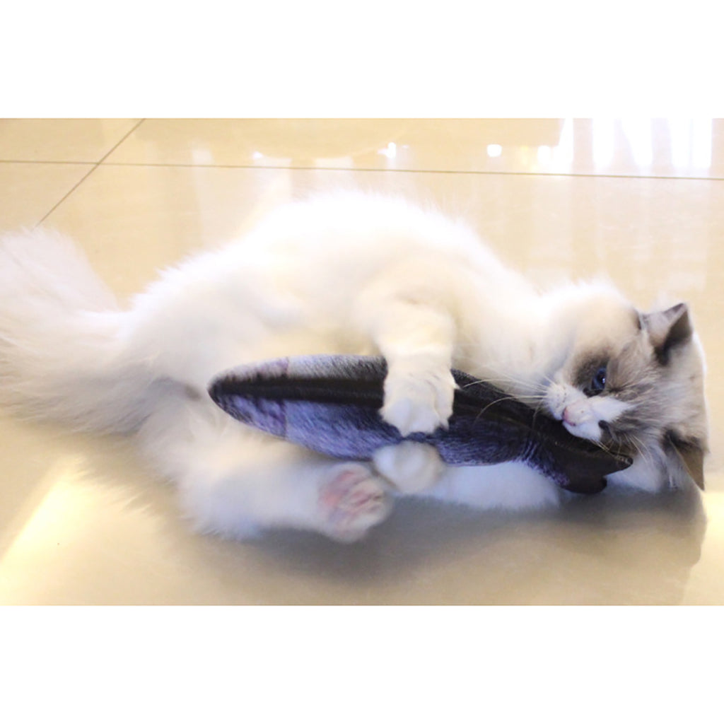 Vancar™ Interactive Fish-Shaped Pet Toy