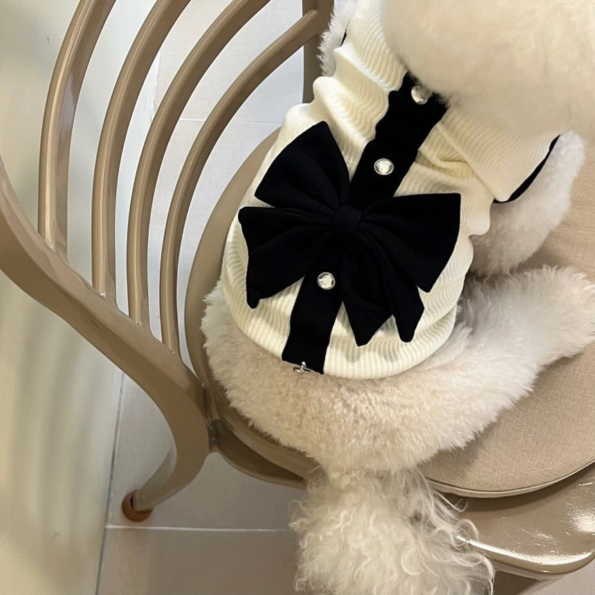 Vancar™ Elegant Lace Bow Pet Dress