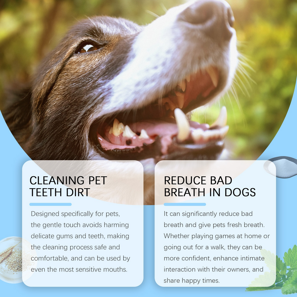 Vancar™ Pet Toothbrush Pen